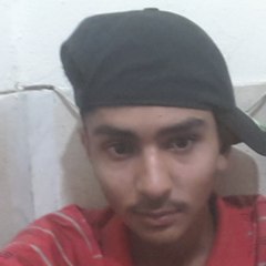 Bhatti Zahid