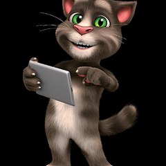 Funny videos