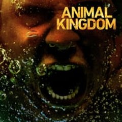 Animal Kingdom >Season 3 HD Streaming