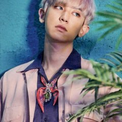 LoeyBerryTrans