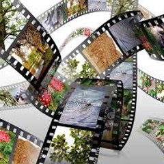 Movies Official