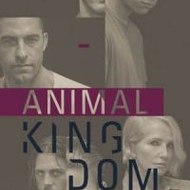 Animal Kingdom ✮ Full HD {S3}