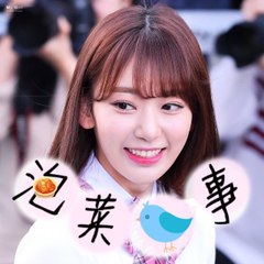 泡菜鳥事