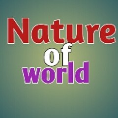 Nature of world