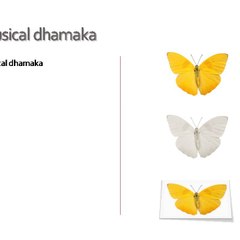 musical dhamaka