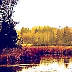 frankheather4469