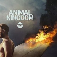 Animal Kingdom [S3]