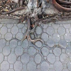 مادهوبالا منتهى العشق