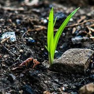 اجدد المسلسلات