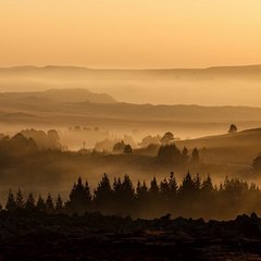 LeonardFranke