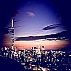 juliedonald7141