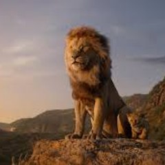 World Wild TV