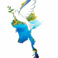 TV   电视剧   电影     新闻