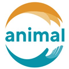 Animal Motion