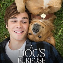 A Dog's Purpose - FULL MOVIE (Watch Online) HD
