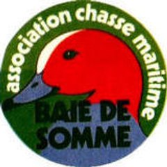 Ptit Sauvaginier80