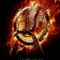 Download - The Hunger Games  Catching Fire (2013)