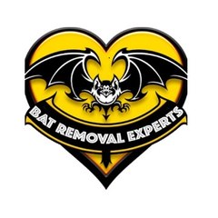 Bat Removal Experts