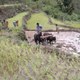 themountainracer