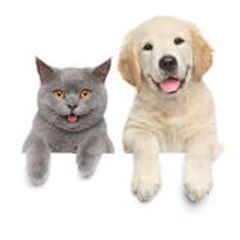 funnypets