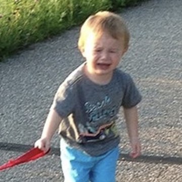 TV Series Collection