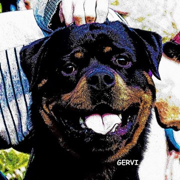 Trại chó Rottweiler Gervi Hà Nội