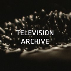 ArchiwizatorTelewizyjny