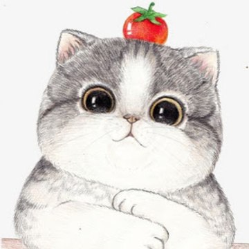 Siwonii Meow