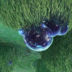 thebiographynews