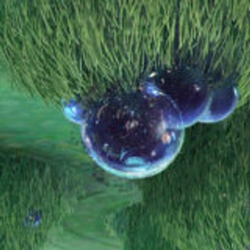 thebiographynews