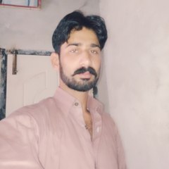 malik nizami