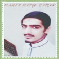 Muhammad Usman Abid