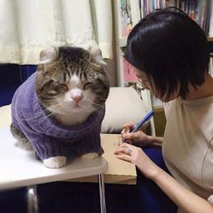 Asia's Next Top Model Vietnam