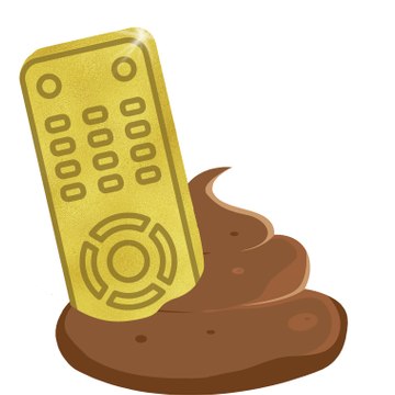 Les Chroniques Du Nanar