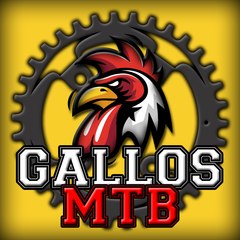 Gallos MTB