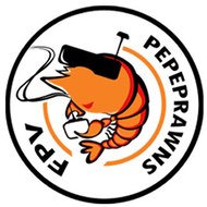 The Quadcopter Review