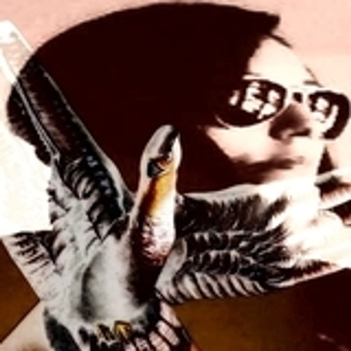 Dailymotion profile picture for @venancio