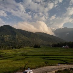 theviralworld