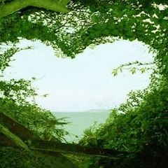 Magical world