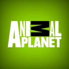 Animal Planet Official