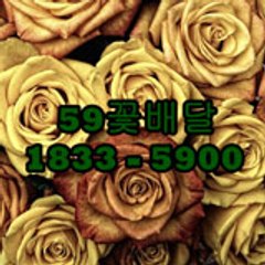 근조화환문구 장례식장화환문구 59꽃배달추천 주문전화 (1833 - 5900 )