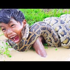 Assamese song