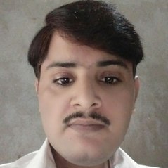 Riz punjabi
