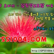 opss_2562