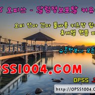 opss_5097