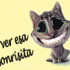 jeancvb523