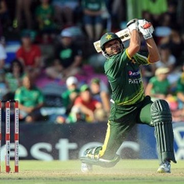Cricket Passion