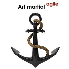 art-martial-agile