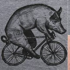 Black Pigs Dyke