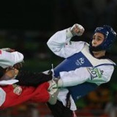 All in One (Taekwondo, Wrestlling, UFC and MMA)